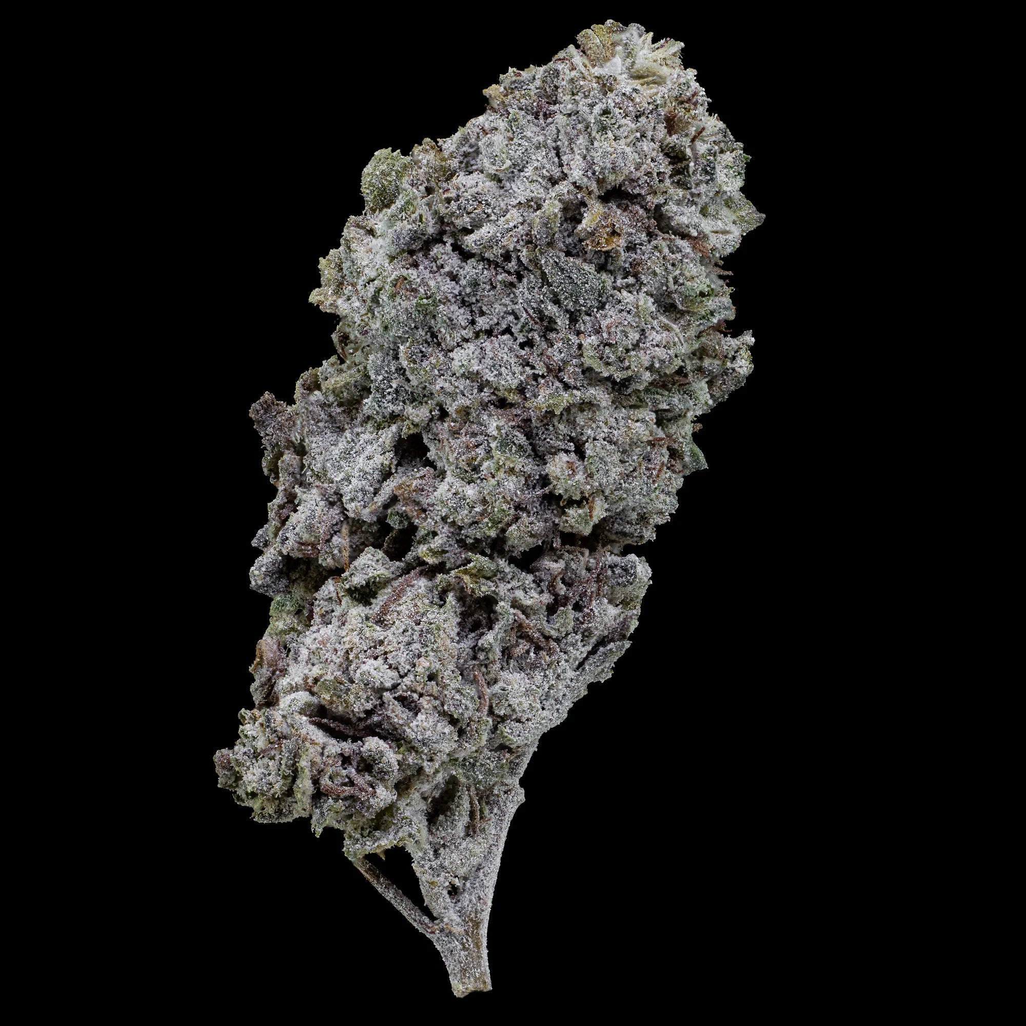 Buds