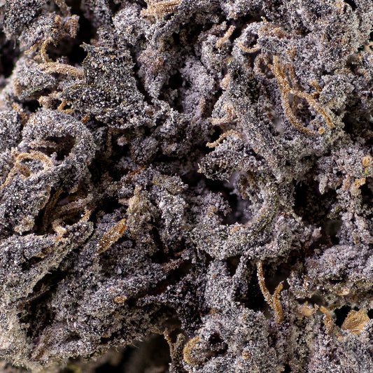 Blutmondblüte – 23 % THCA