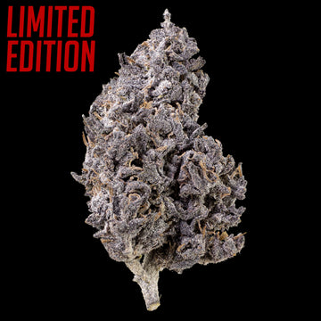 Blutmondblüte – 23 % THCA