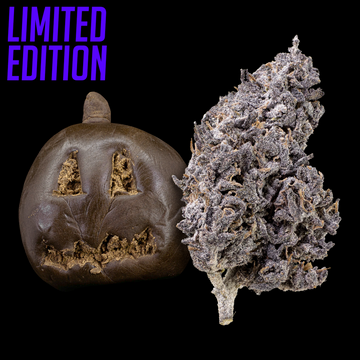 HALLOWEEN BUNDLE - 2*5 GRAM