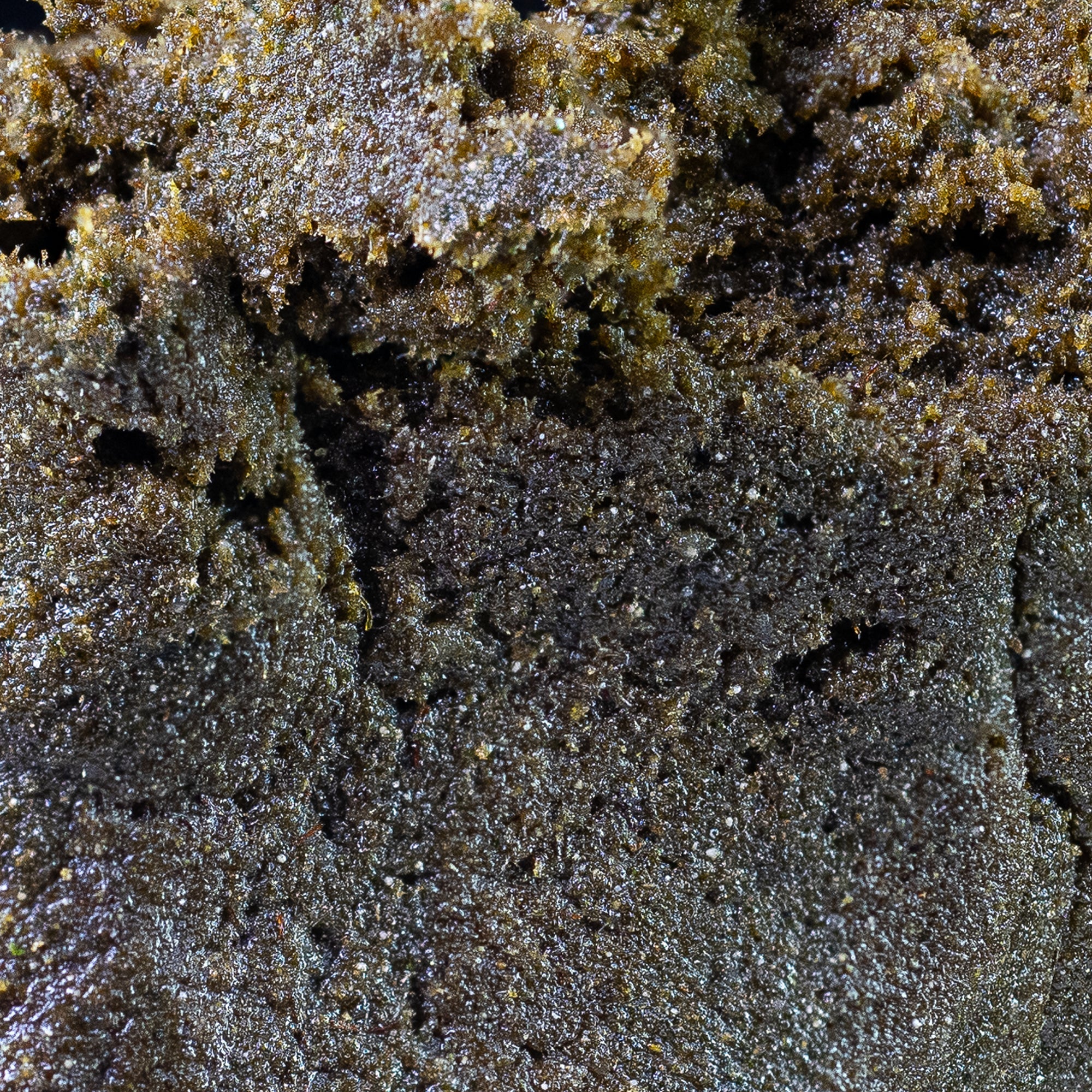 Static Hash