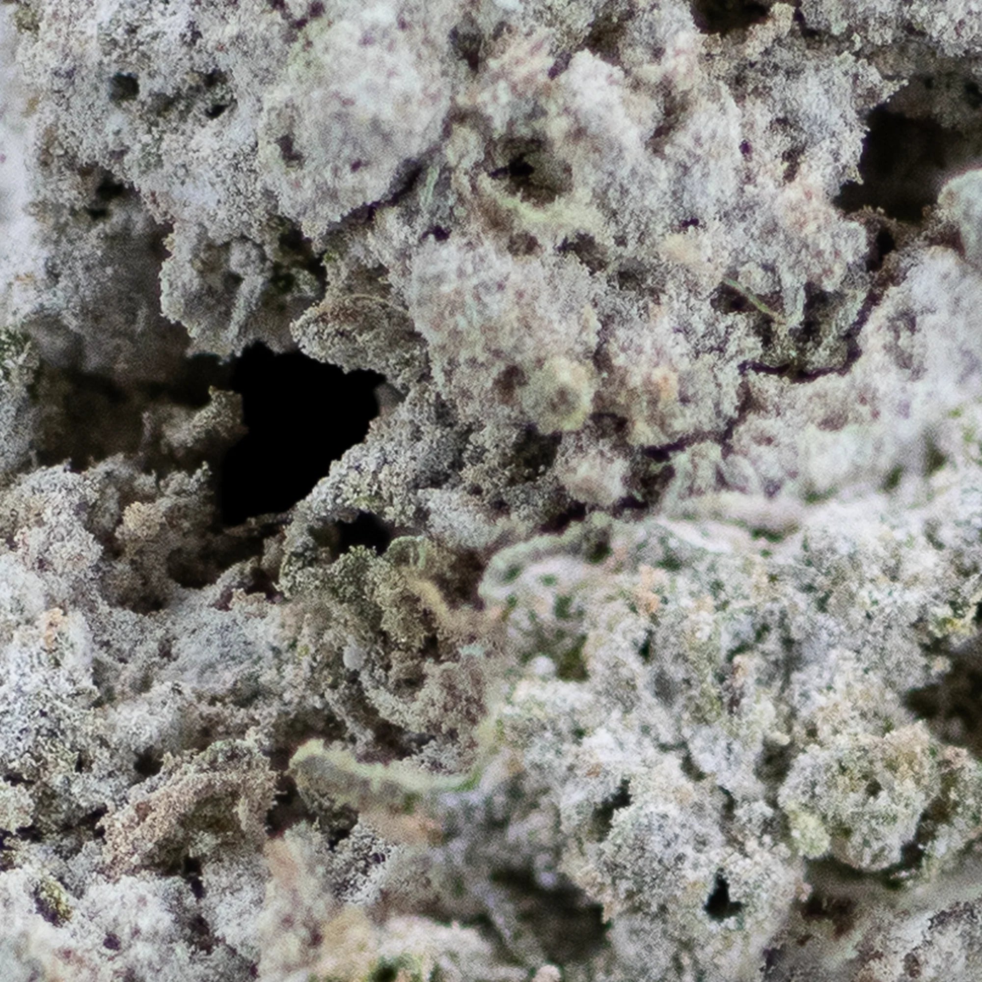 THCA
