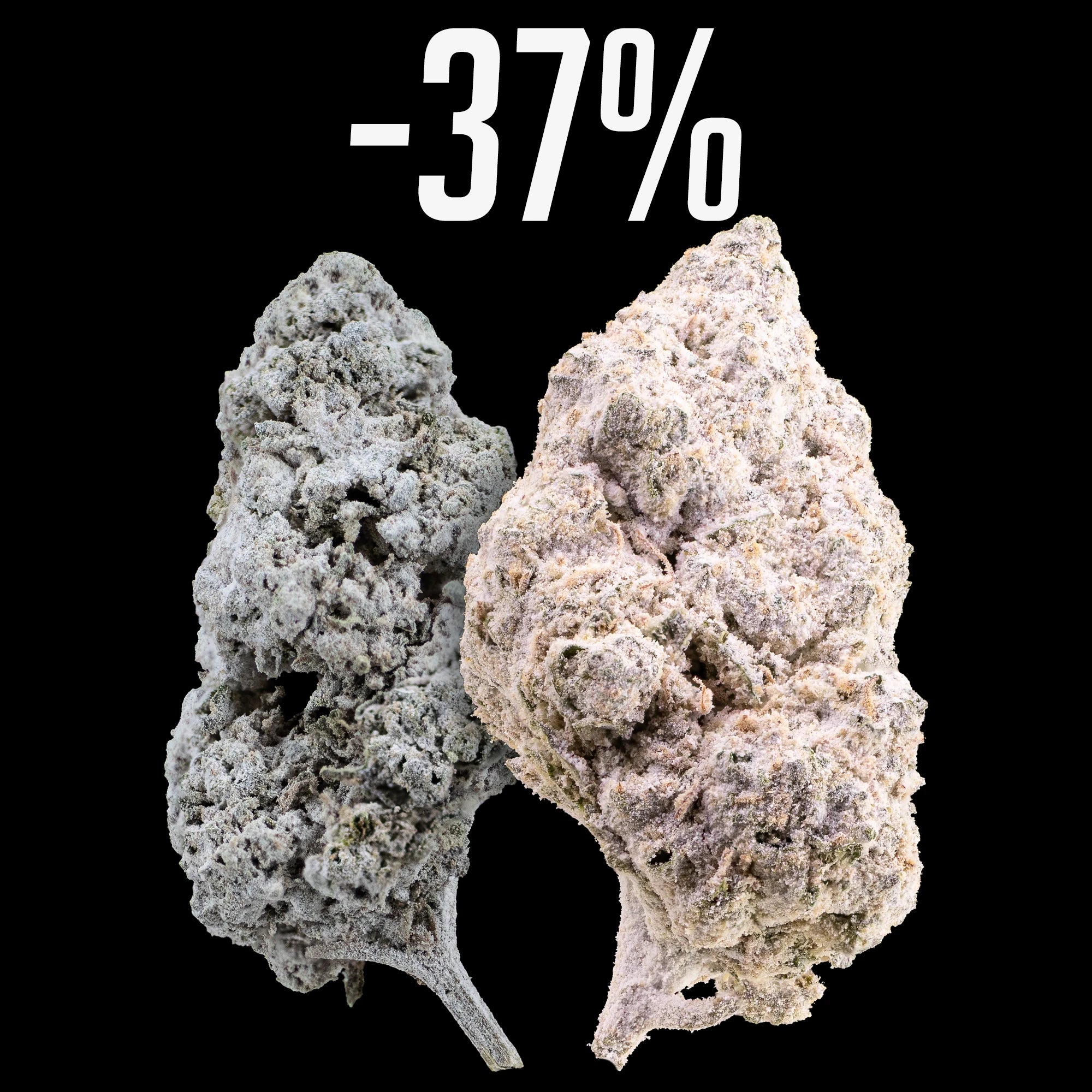 BLACK DROP BUNDLE - 2x5G