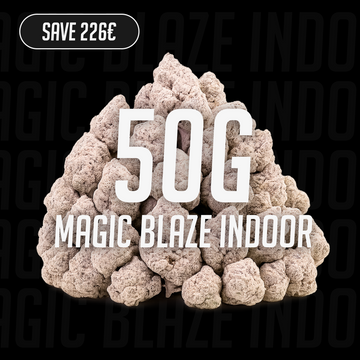 Magic Blaze - 23% THCA 50g