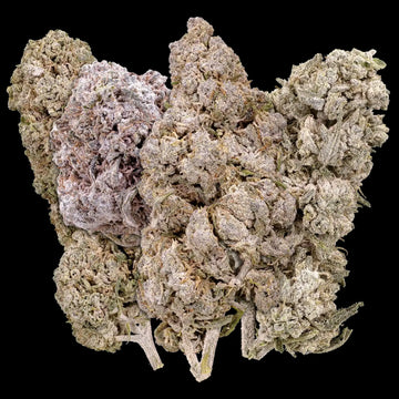 Scandi Bundle - 4x5g