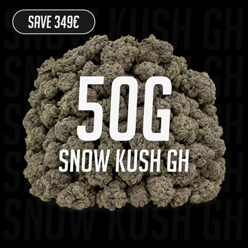 Snow Kush GH - 23% THCA 50G