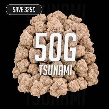 Tsunami - 24% THCA 50g