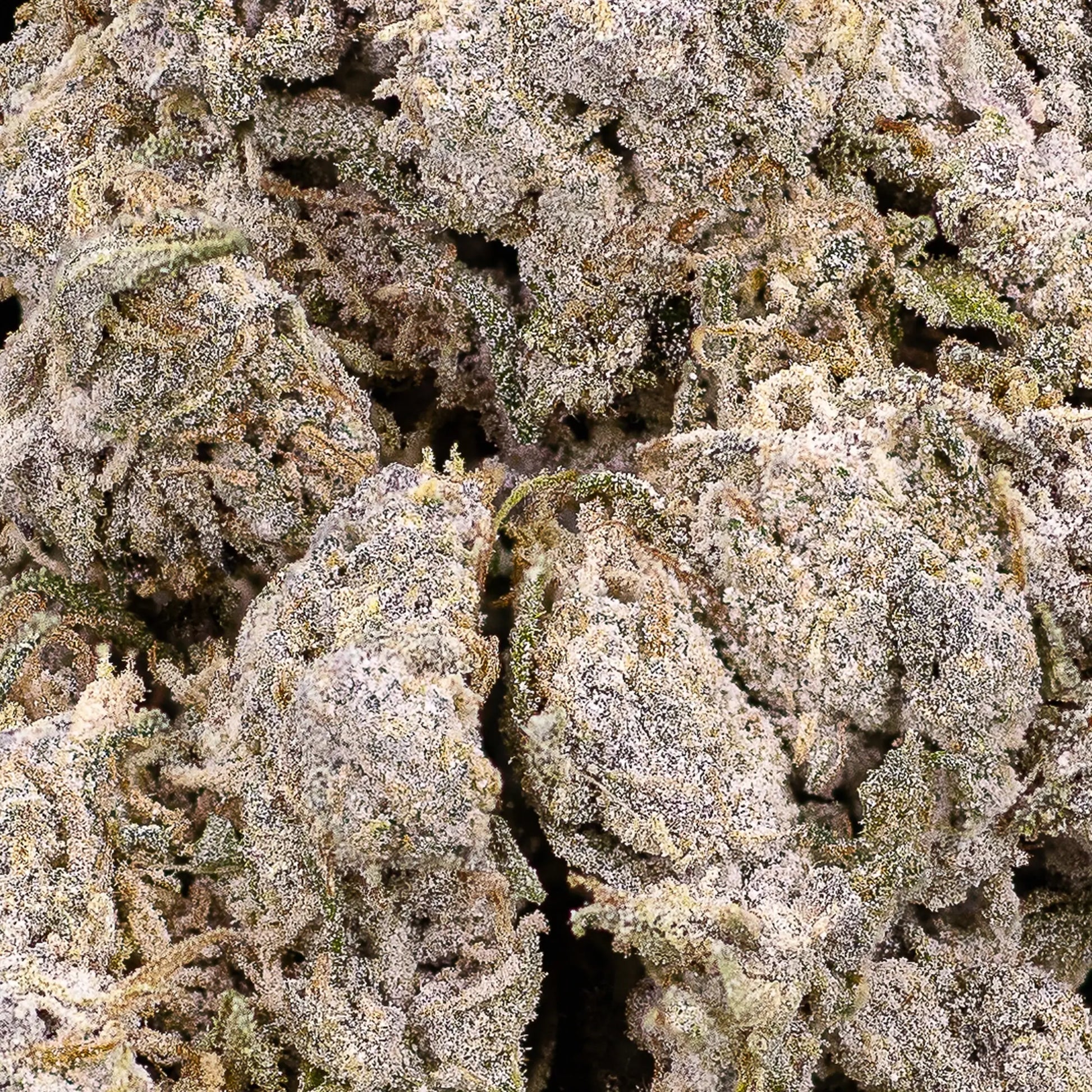 cannabis flower thca coated weedshop macro shot close up