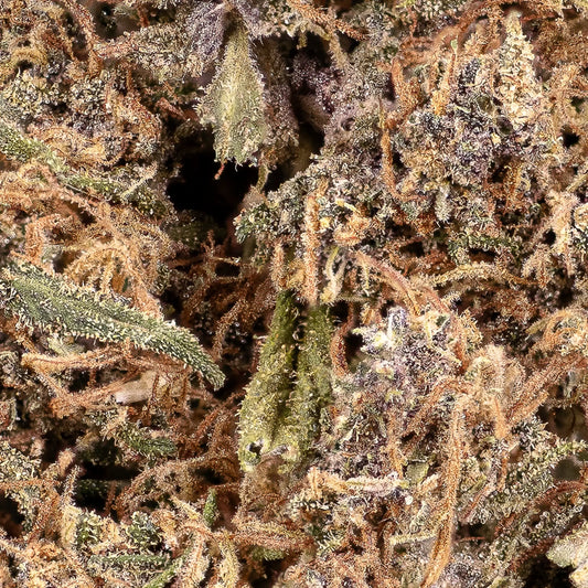 Close-up of cannabis buds with a focus on texture and color.