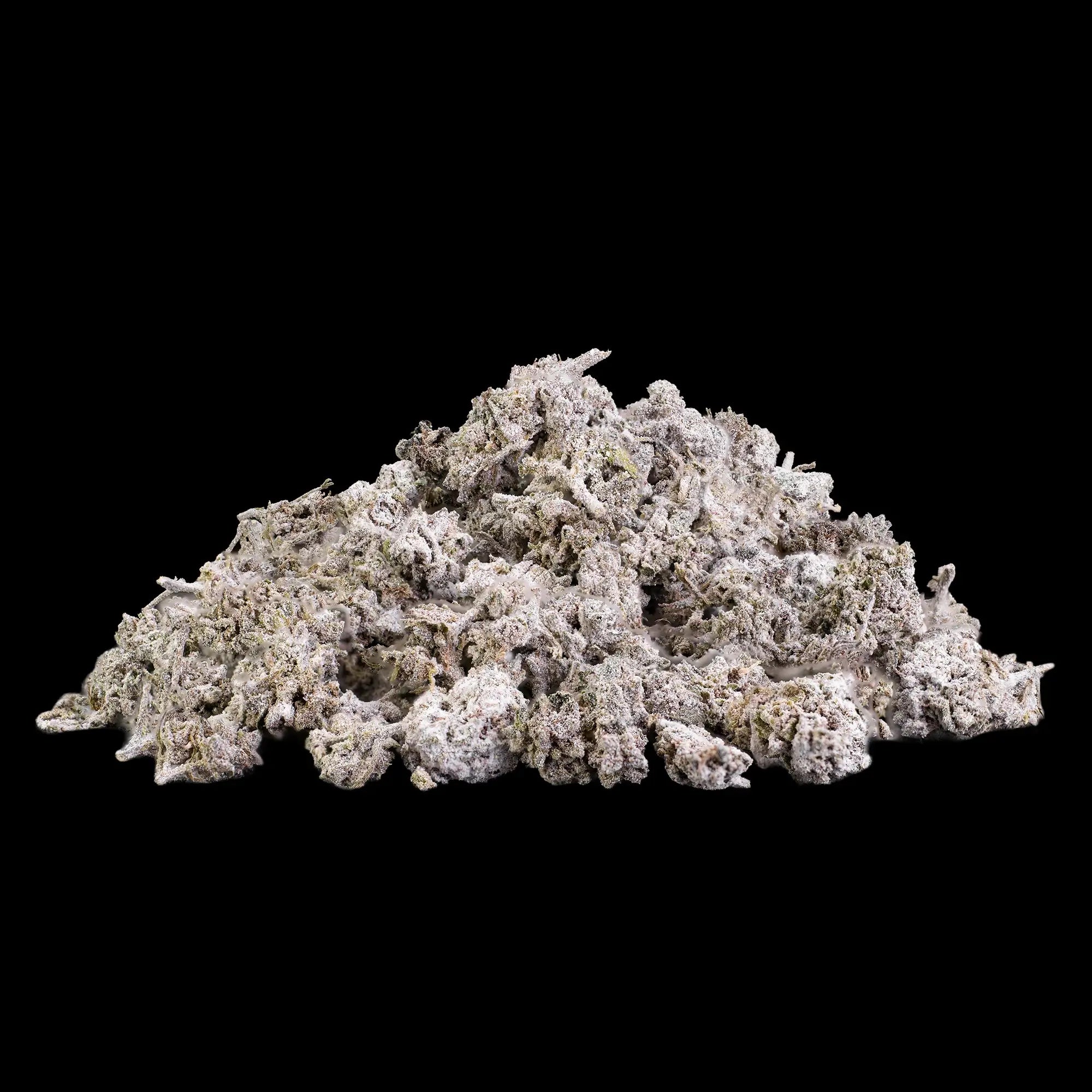 Bruce Banner 22% THCA popcorn buds with frosted trichome coverage