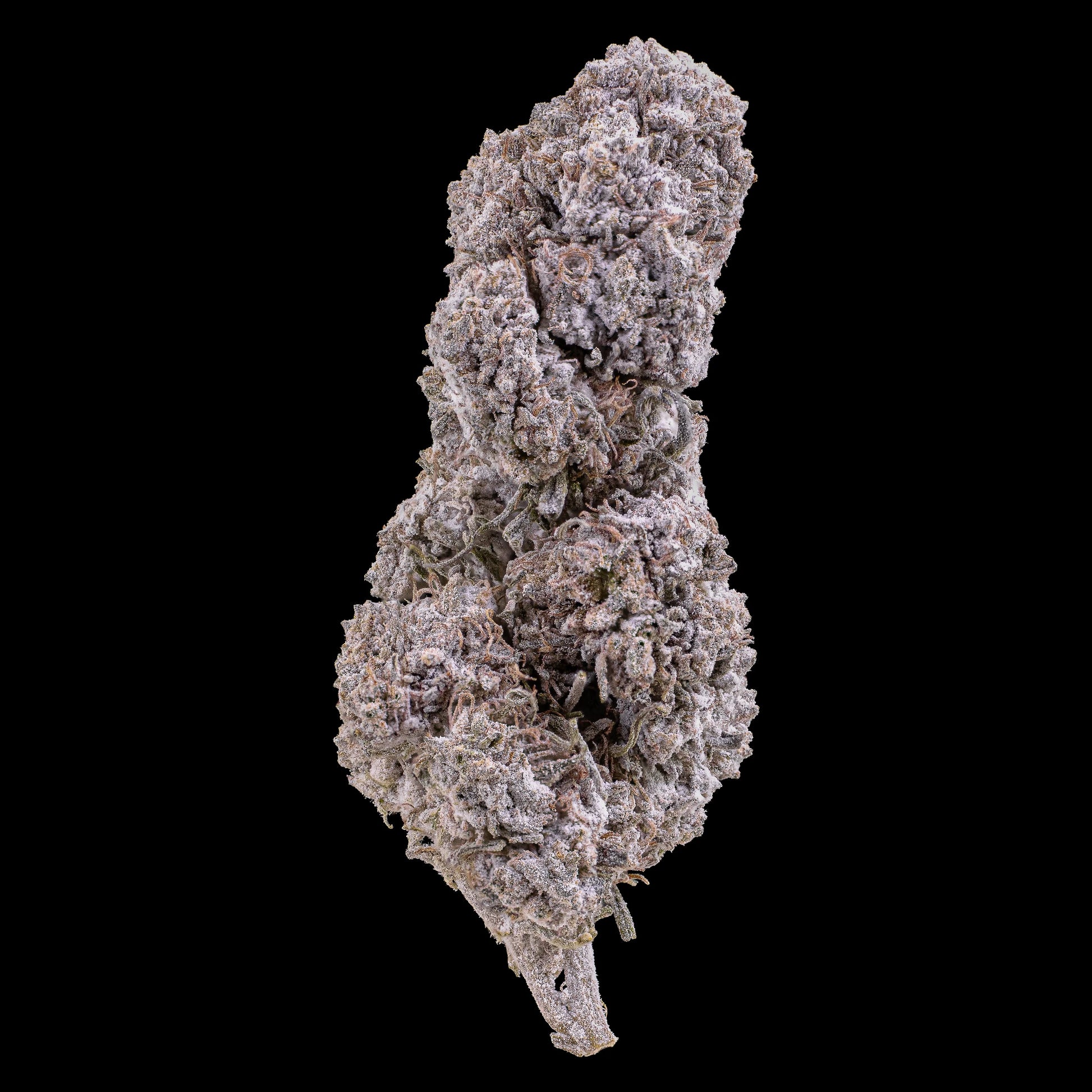 Diesel Punch 25% THCA indoor cannabis flower with dense resin buds