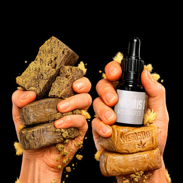 Hands holding cannabis buds and a bottle labeled 'cannabis oil' against a black background