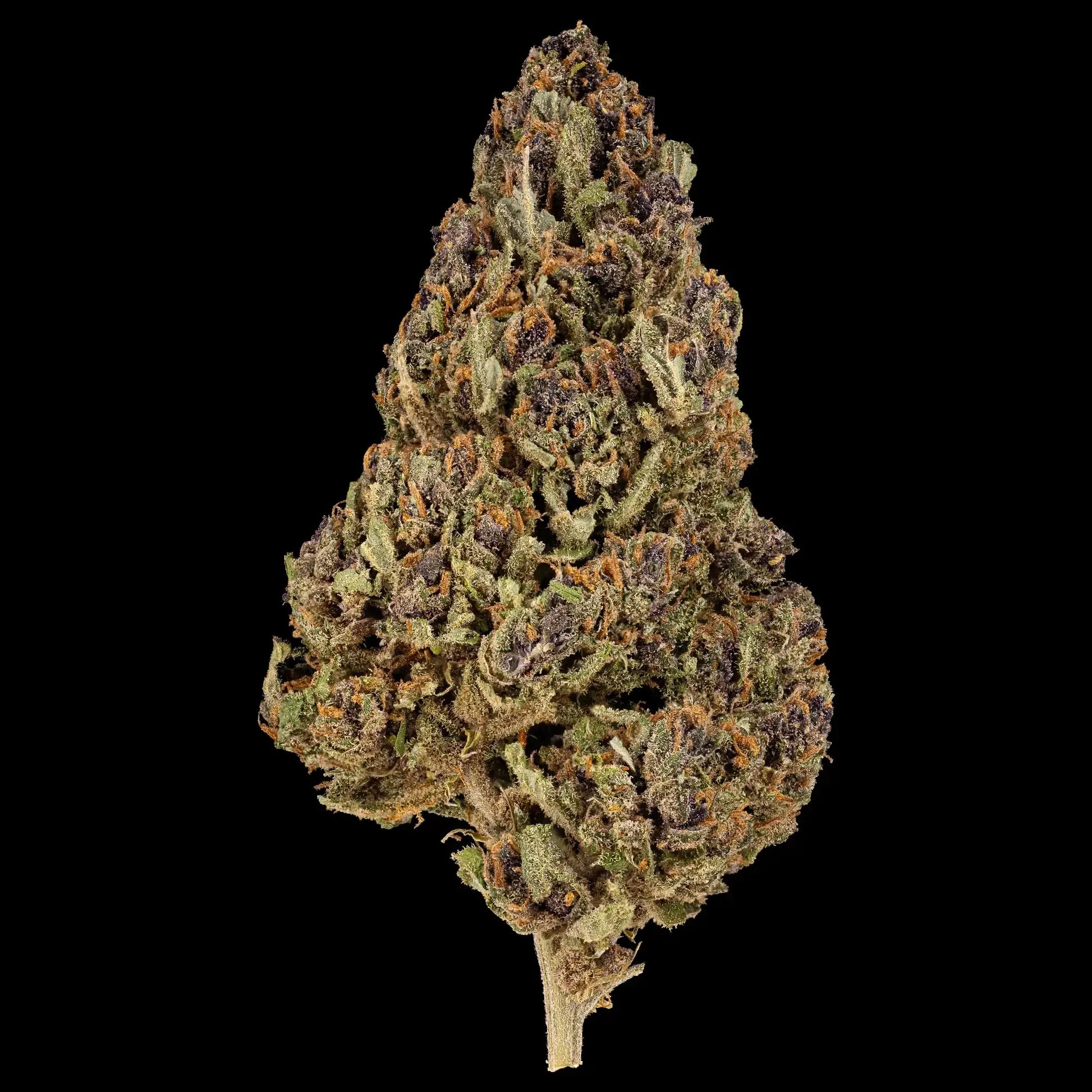 Dried cannabis bud on a black background