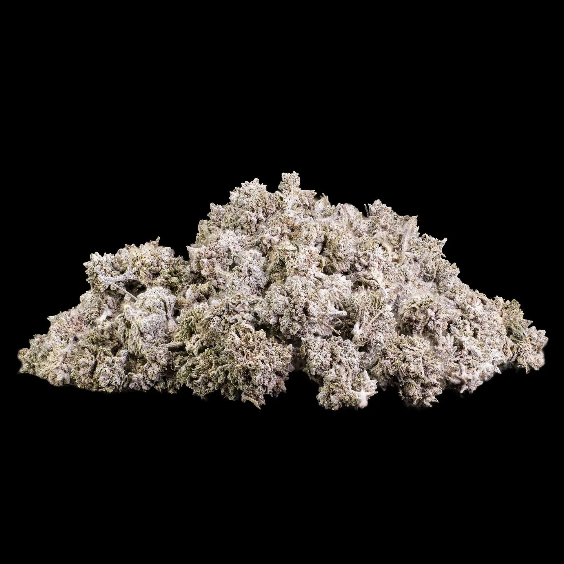 GMO 22% THCA popcorn buds with dense frosted trichomes