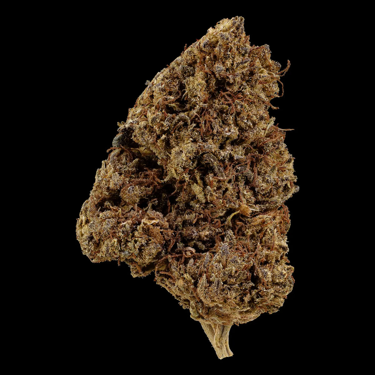 Hippie Harvest 14% CBD glasshouse cannabis flower with green and golden tones