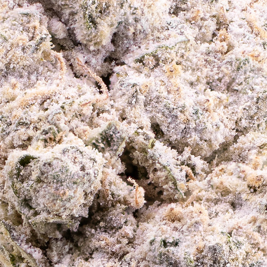Magic Blaze Indoor - 24% THCA