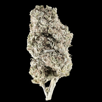 N*1 Sativa - 23% THCA