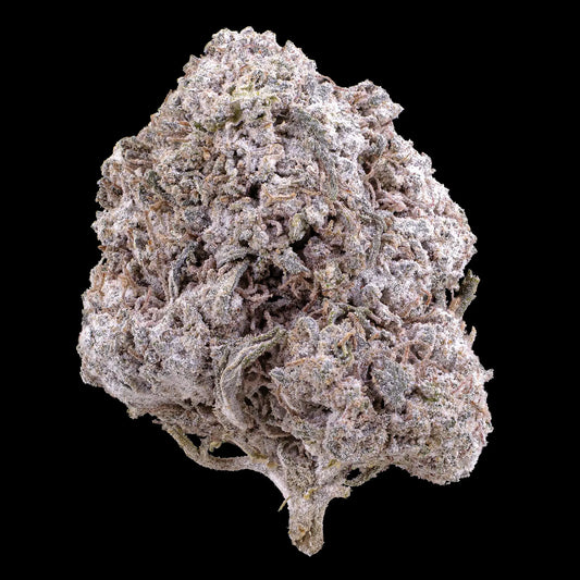 Odense OG 23% THCA indoor cannabis flower with dense frosted trichomes
