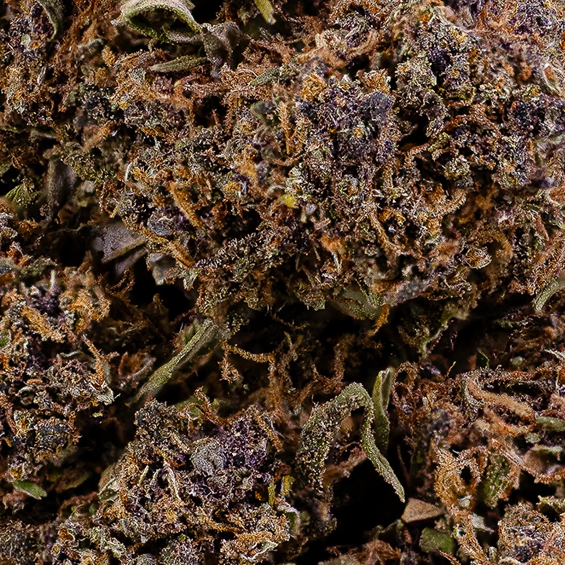 Close-up of dried cannabis buds with a dark background