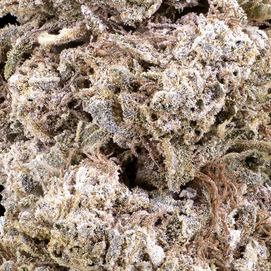 Royal Gorilla - 24% THCA