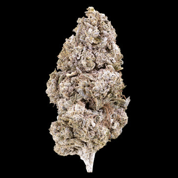 Royal Gorilla - 24% THCA