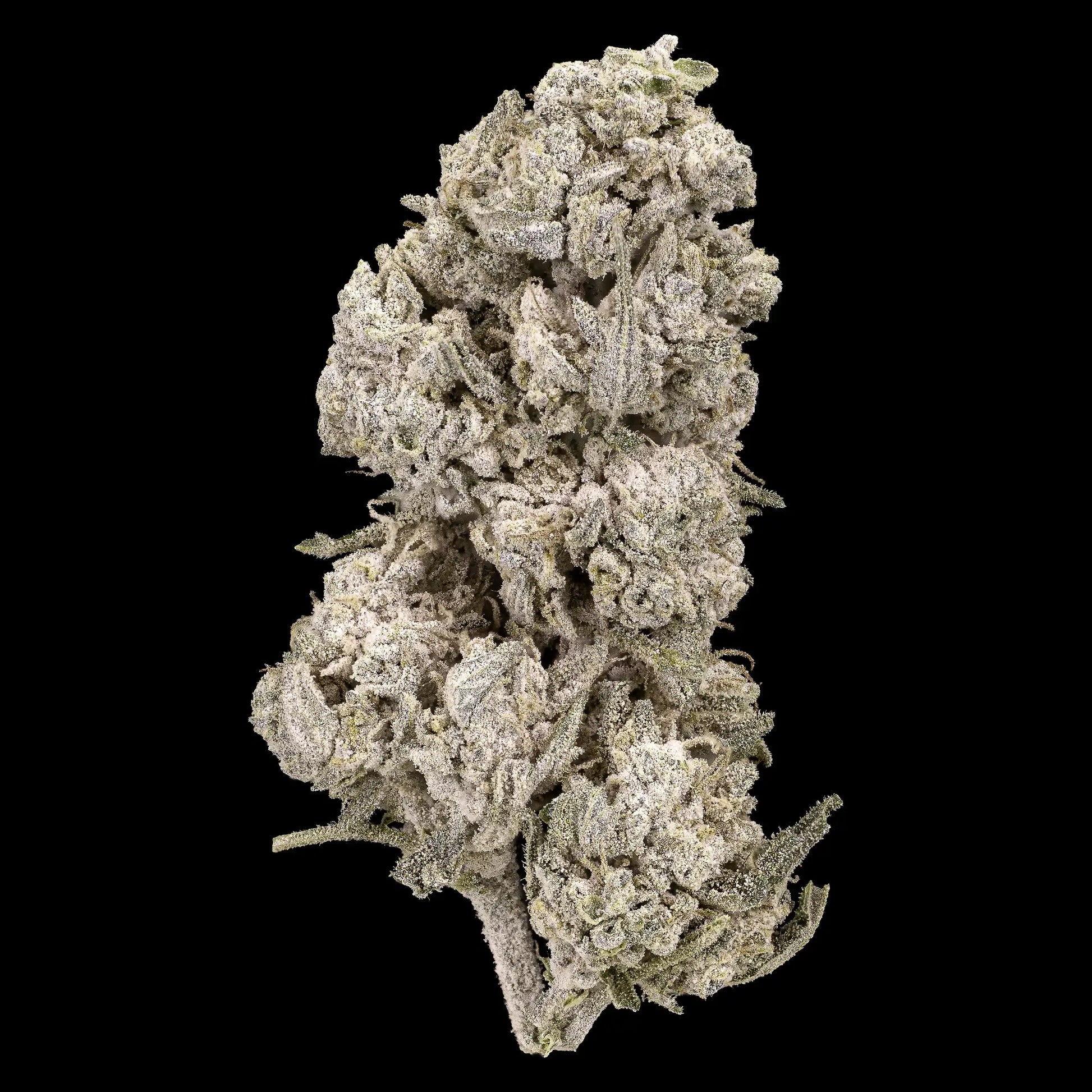 weedshop cannabis stockholm special thca flower