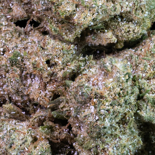 White Cali - 23% THCA