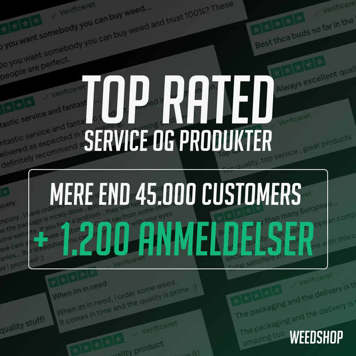 Top rated service and cannabis products