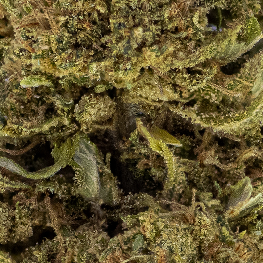 Makrofotografi af Funky Flower CBD-topskud med synlige trichomer og fine grønne nuancer. Strukturen fremstår tæt og krystalliseret med lette orange pistiller og støvede, hvide krystaller.