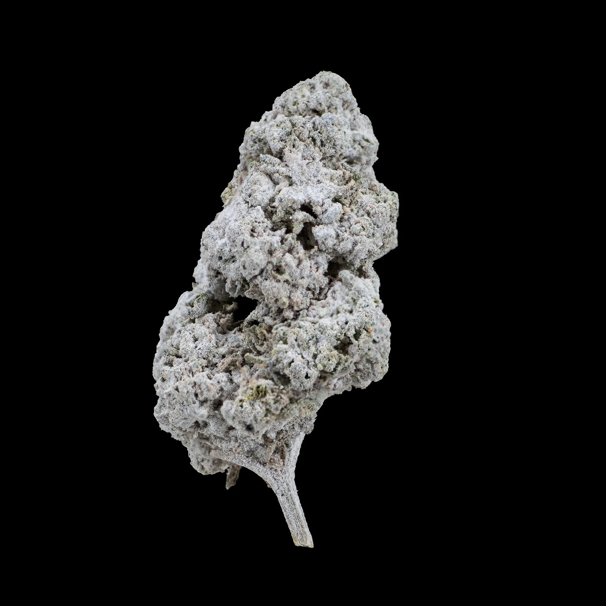Et kompakt cannabis-topskud dækket af tætte trichomer med frostet overflade, domineret af grågrønne nuancer og let lilla toner.