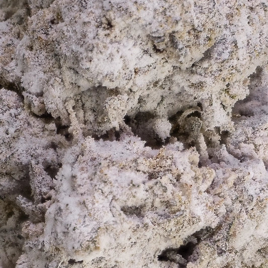 Makrobillede af LA Push Pop med tydelige THCA-trichomer, tætpakket blomsterstruktur og lyse nuancer.