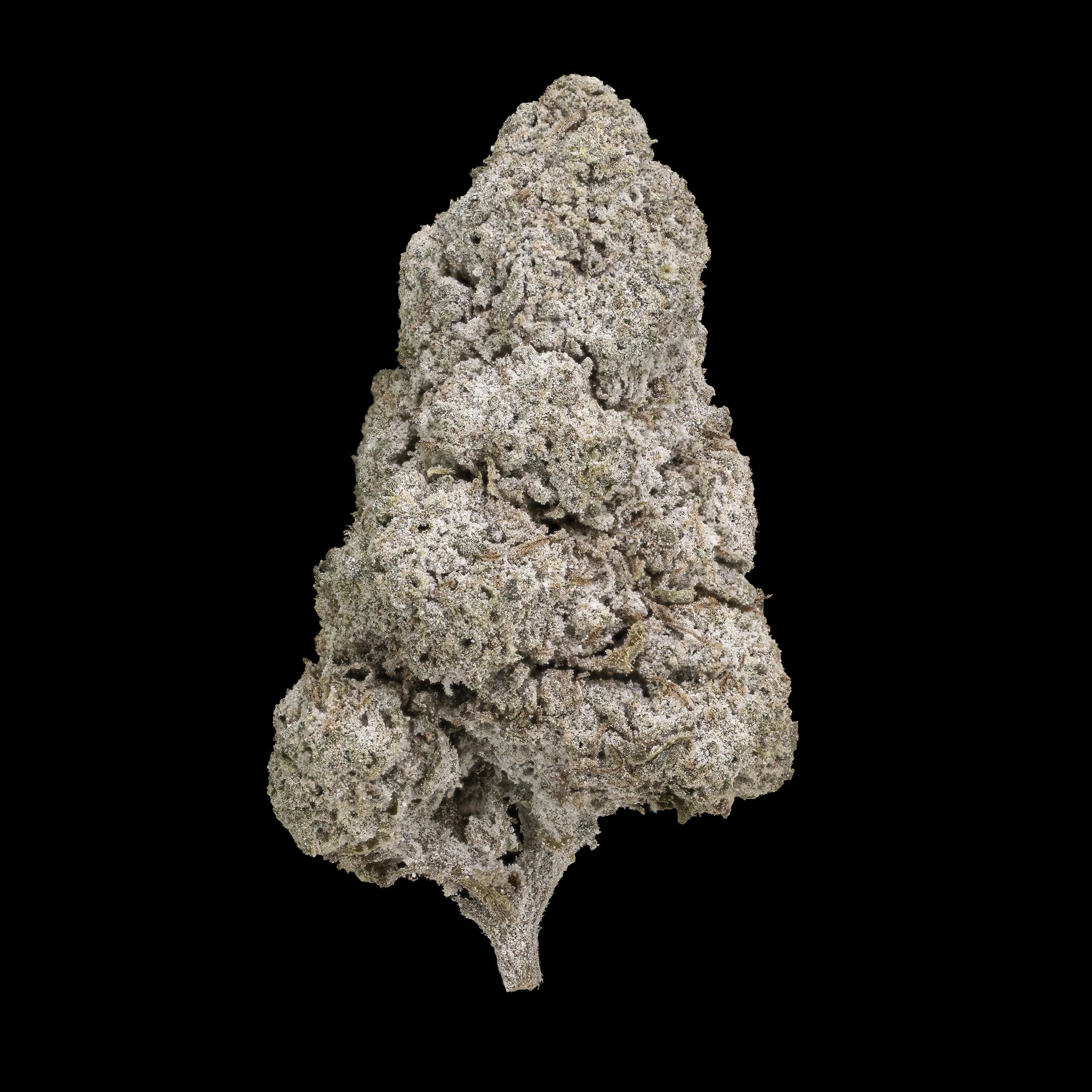 Et fuldt topskud af N*1 Sativa i høj kvalitet, med tydelige krystaller og kompakt struktur på sort baggrund.