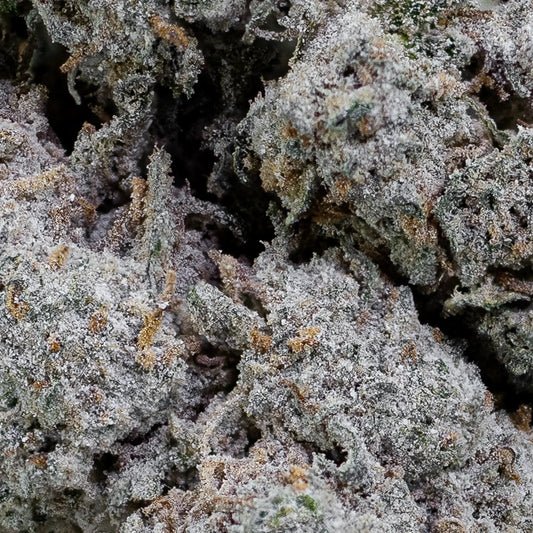 Nærbillede af Papaya Runtz topskud med fokus på trichomer, farvespil og blomstens tekstur. Overfladen er dækket i krystallinsk THCA med nuancer af grøn, lilla og orange.