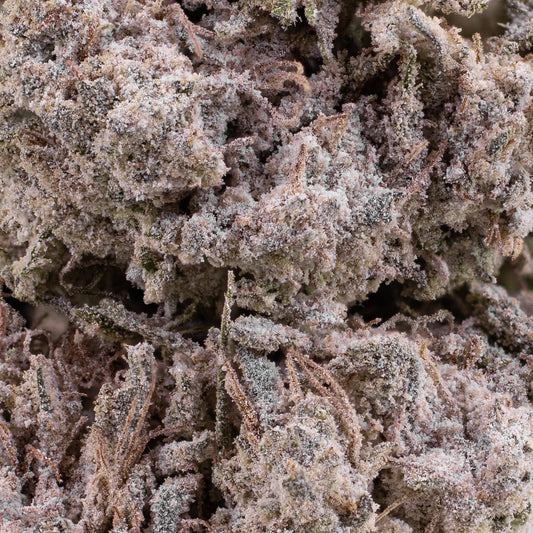 Trainwreck - 23% THCA